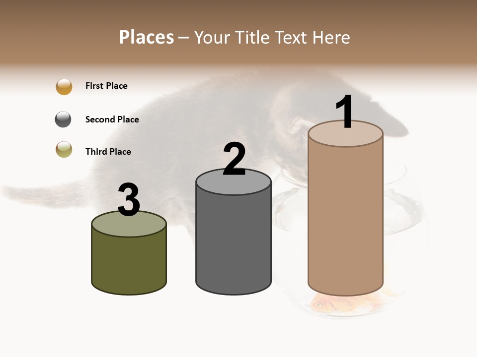 Portrait Beauty Game PowerPoint Template