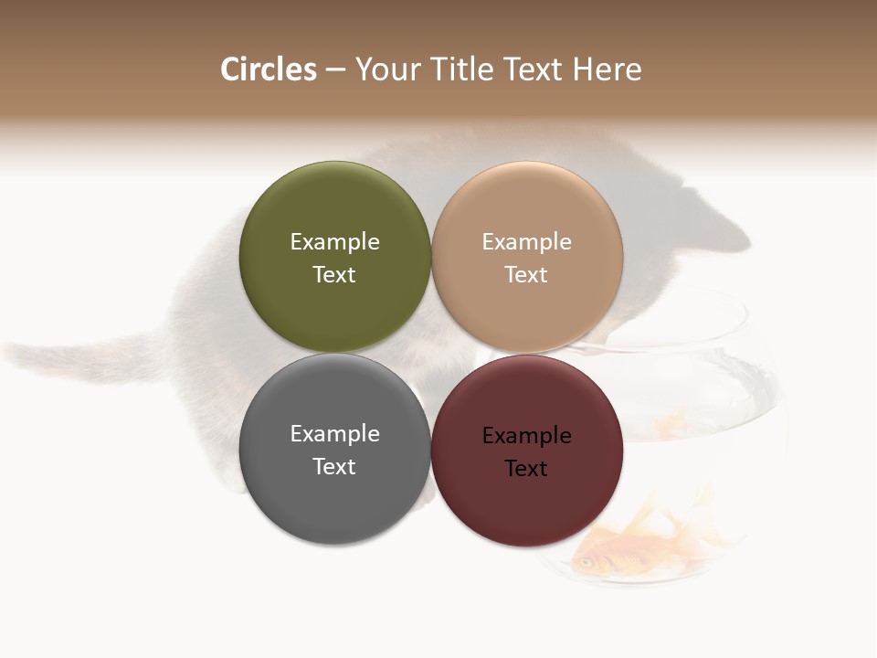 Portrait Beauty Game PowerPoint Template