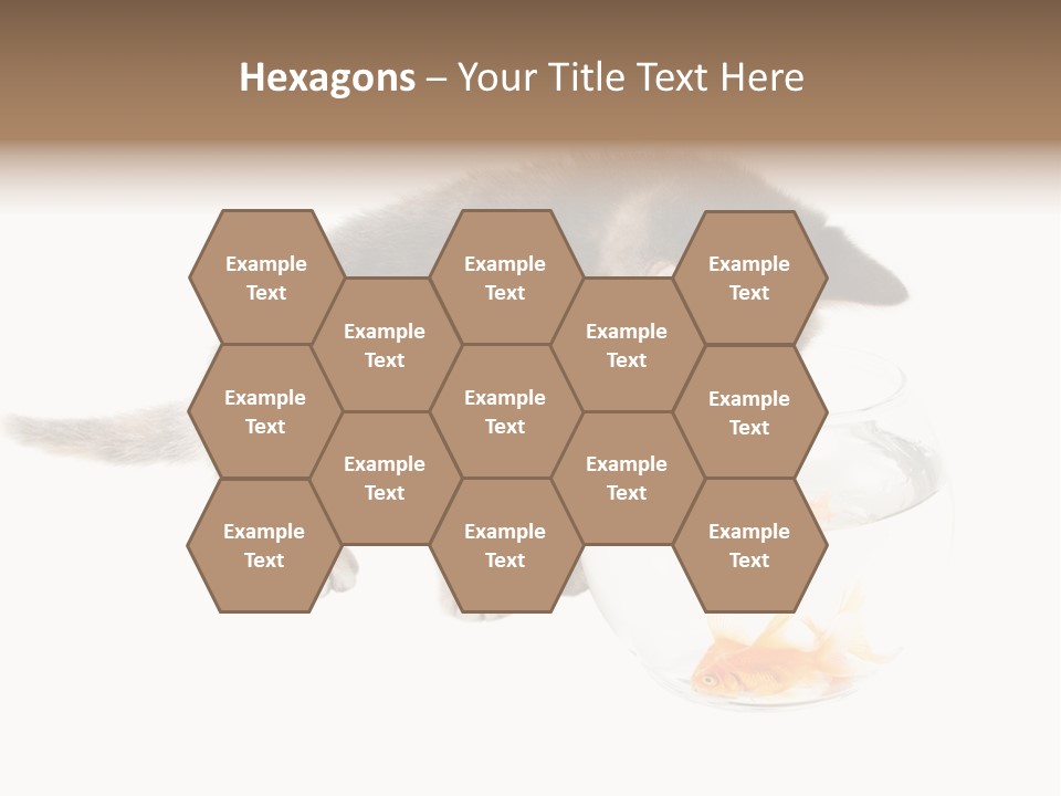 Portrait Beauty Game PowerPoint Template