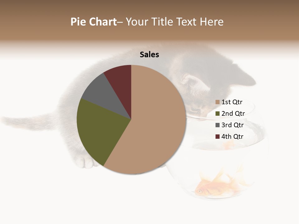 Portrait Beauty Game PowerPoint Template