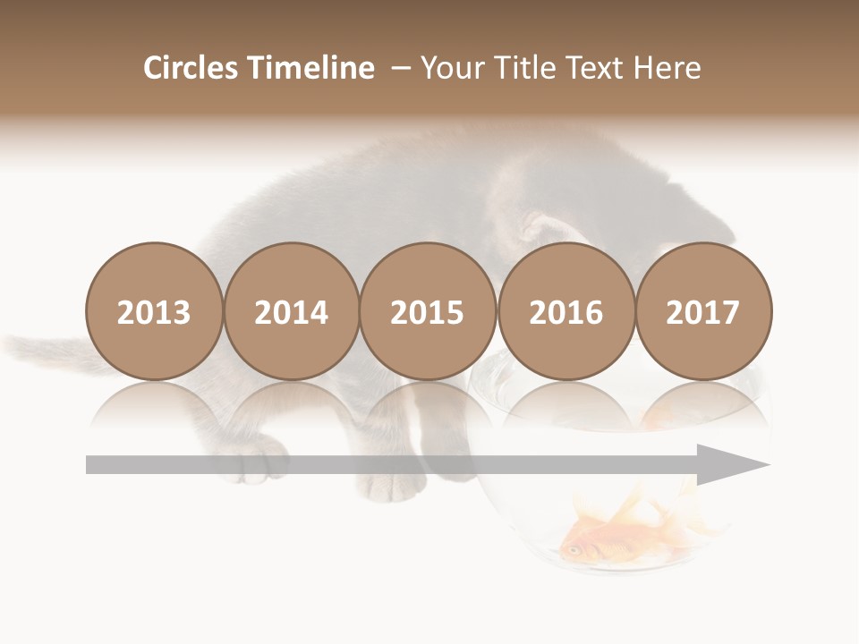 Portrait Beauty Game PowerPoint Template