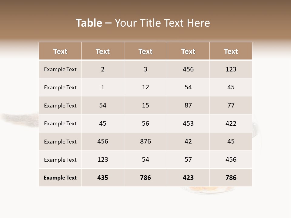 Portrait Beauty Game PowerPoint Template