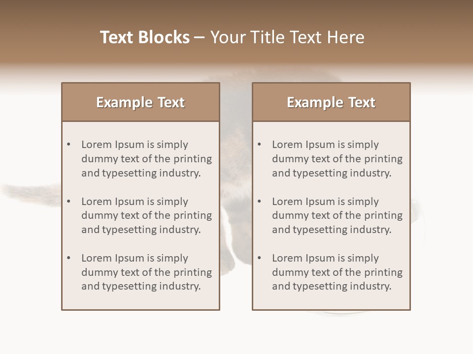 Portrait Beauty Game PowerPoint Template