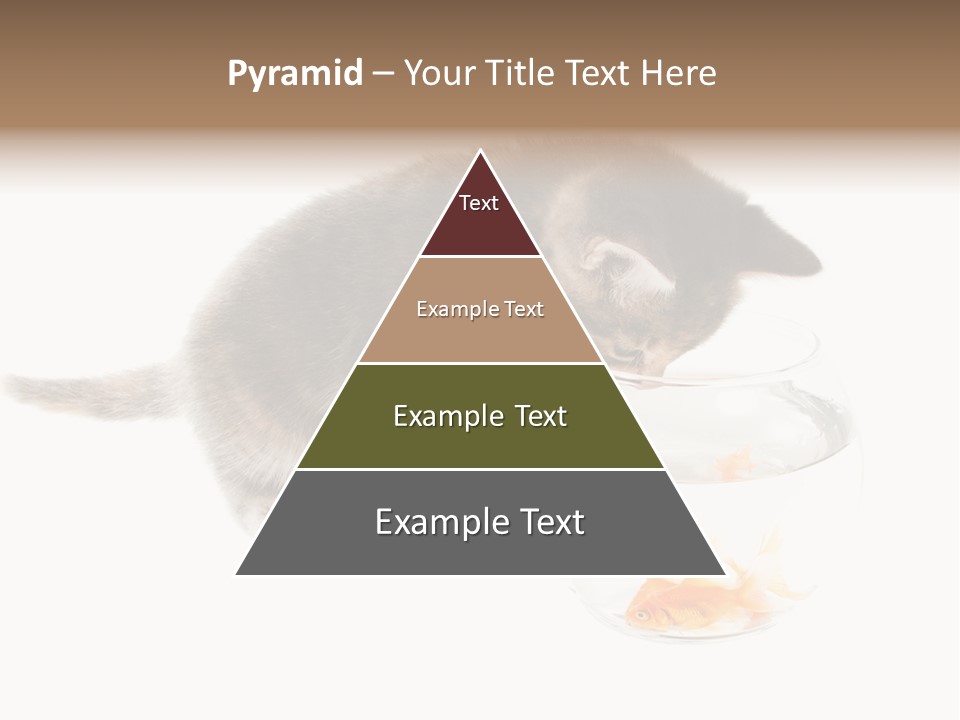 Portrait Beauty Game PowerPoint Template