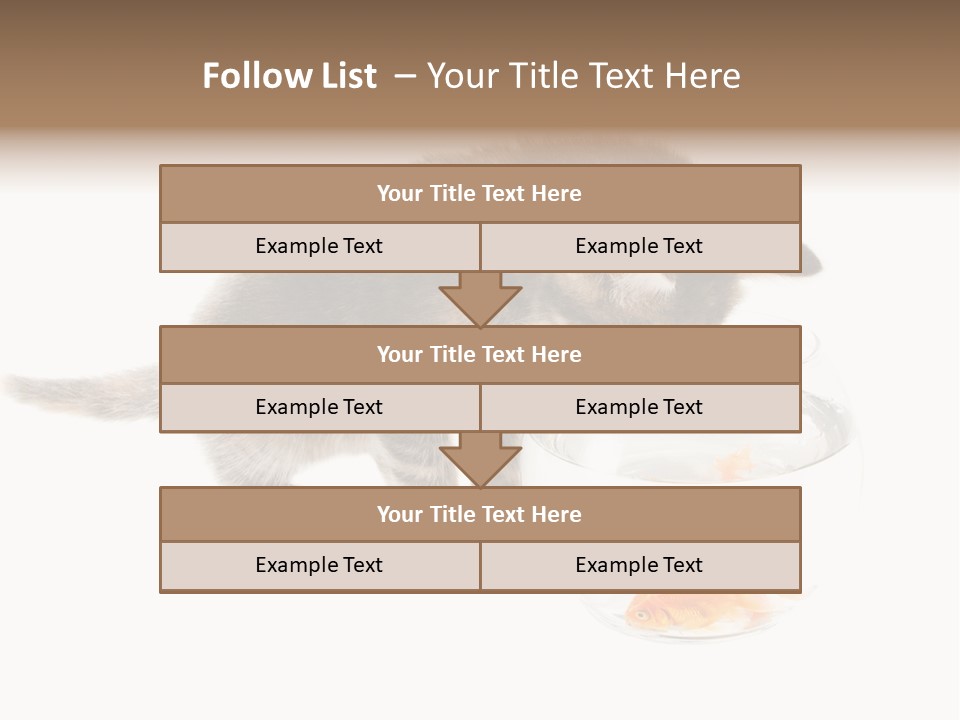 Portrait Beauty Game PowerPoint Template