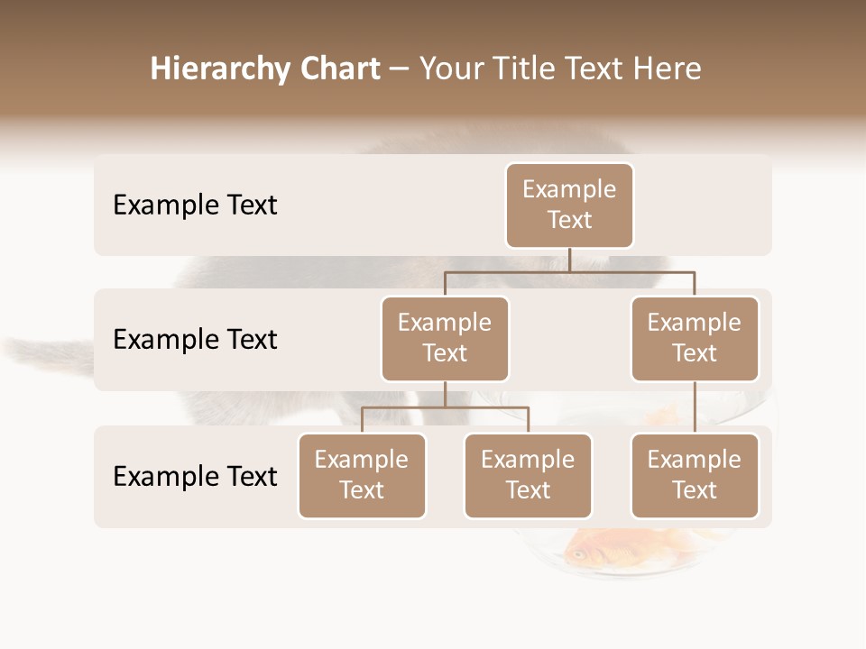 Portrait Beauty Game PowerPoint Template