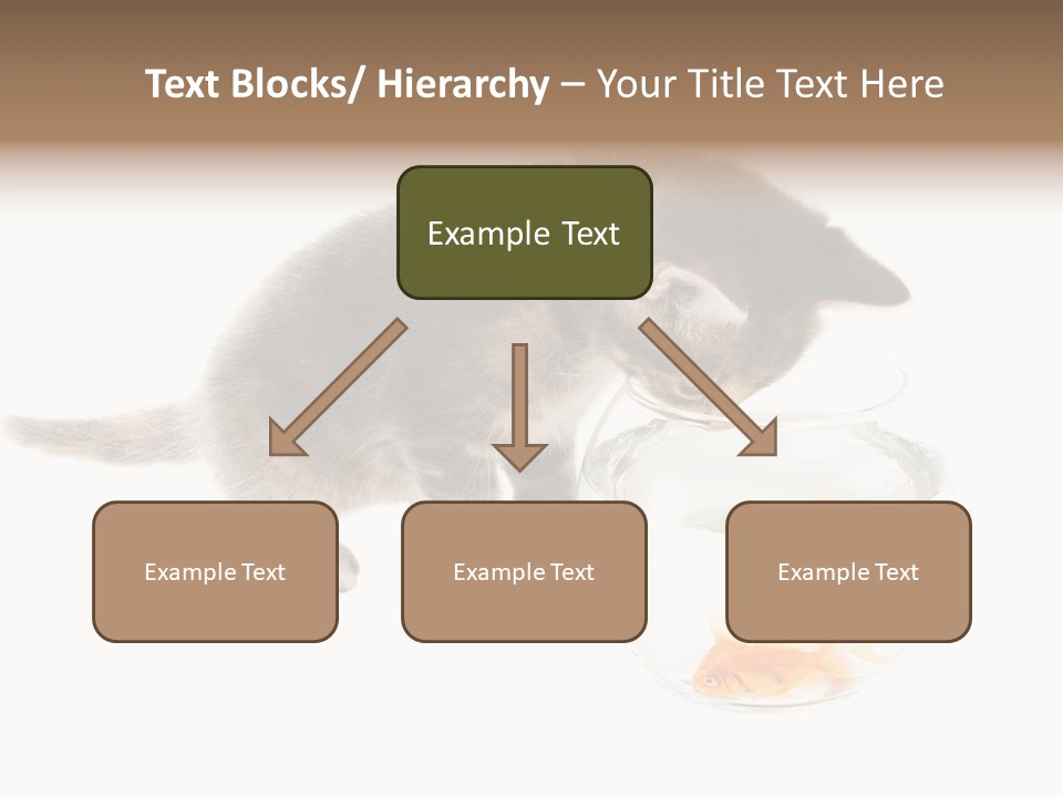 Portrait Beauty Game PowerPoint Template