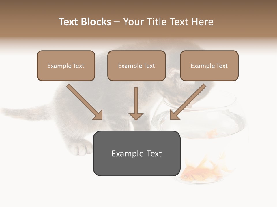 Portrait Beauty Game PowerPoint Template