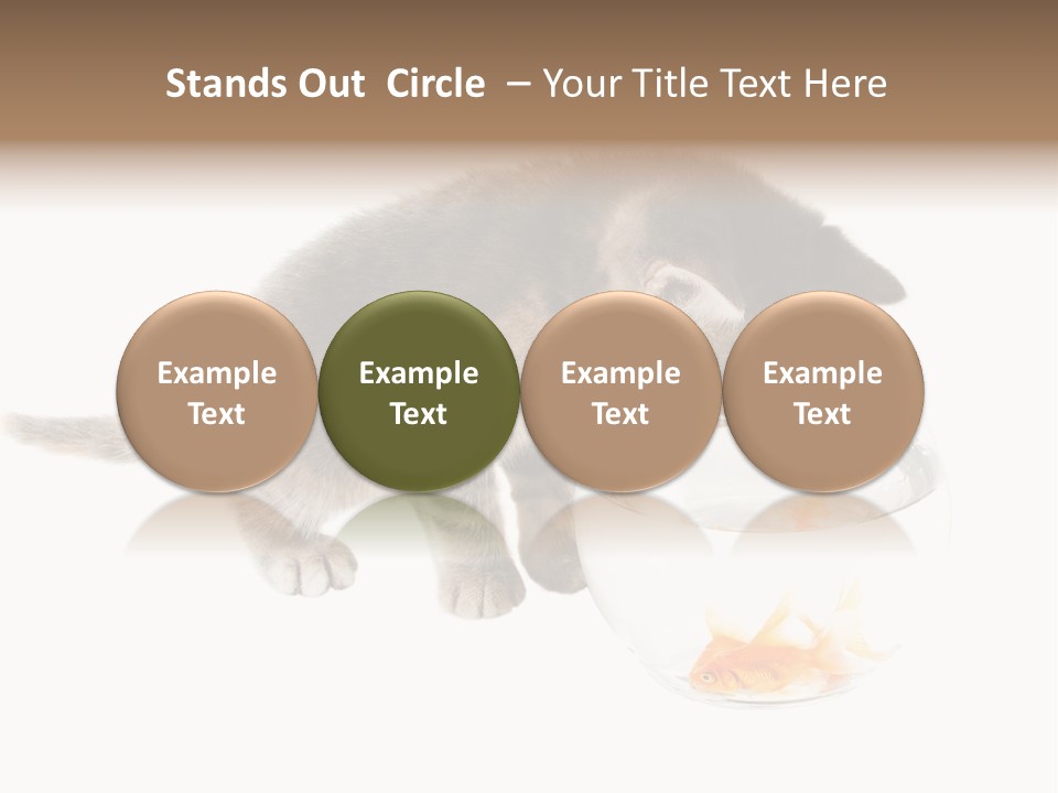 Portrait Beauty Game PowerPoint Template