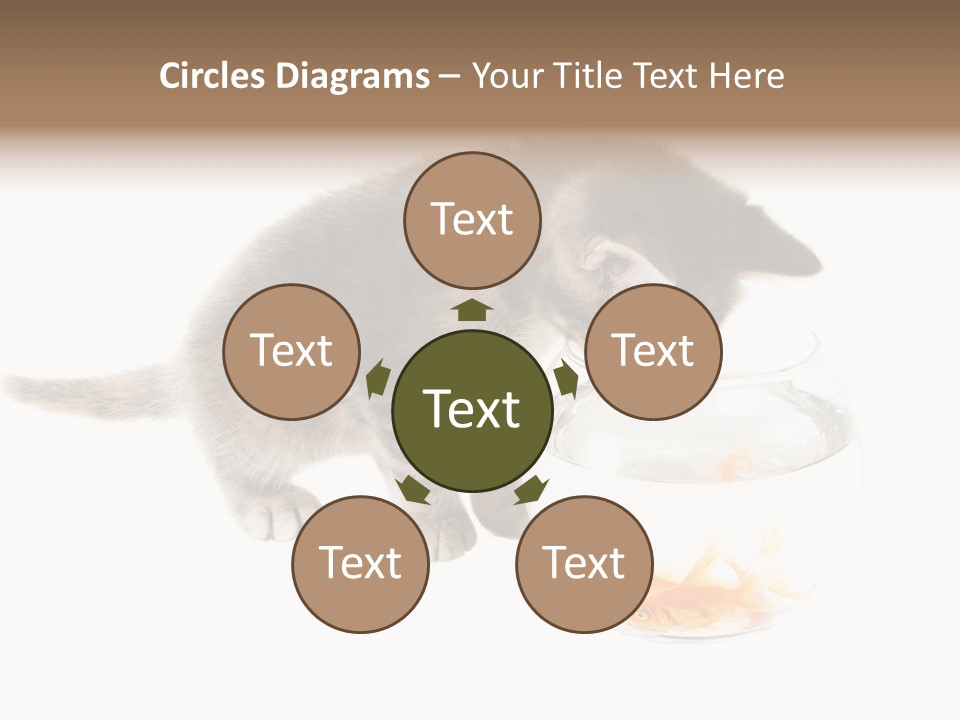 Portrait Beauty Game PowerPoint Template