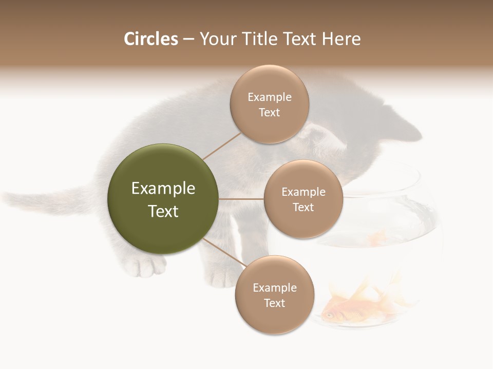 Portrait Beauty Game PowerPoint Template