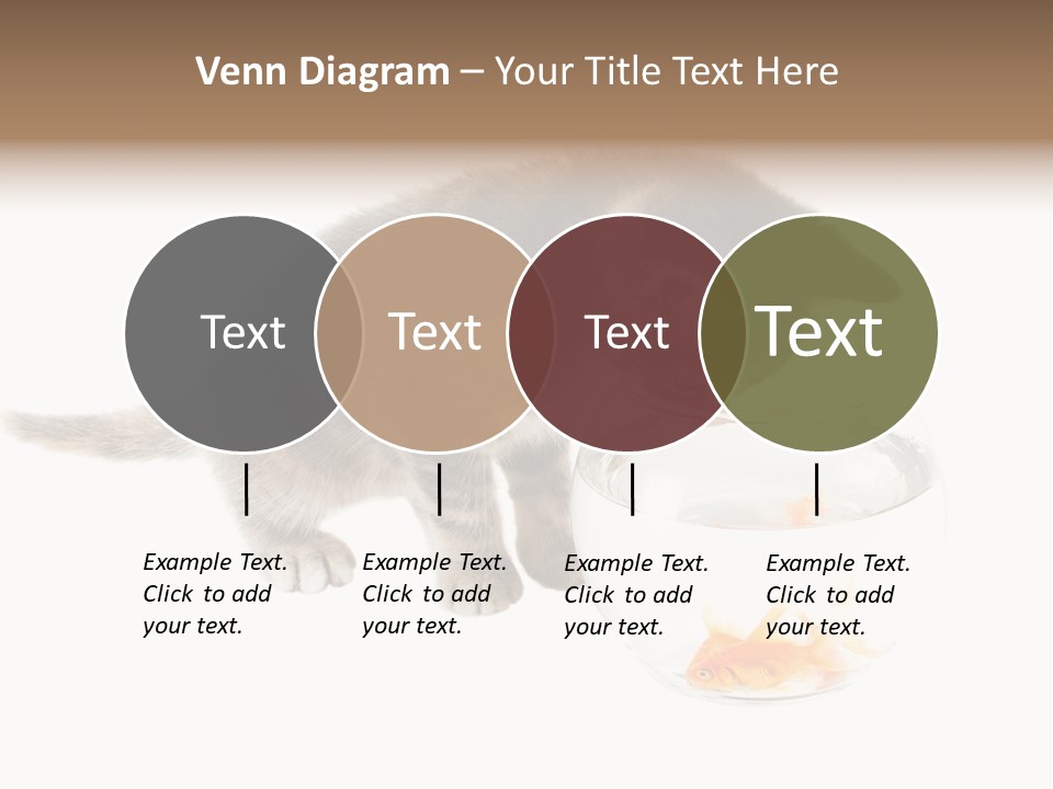 Portrait Beauty Game PowerPoint Template