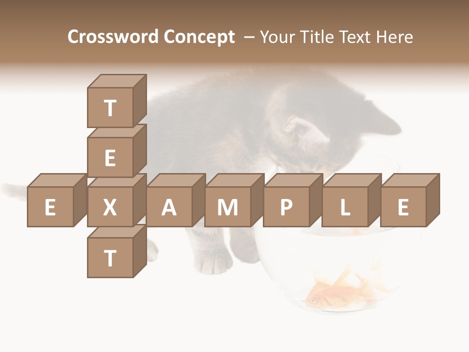 Portrait Beauty Game PowerPoint Template