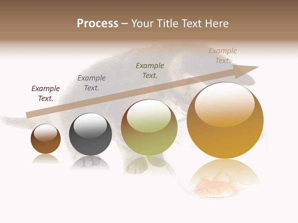 Portrait Beauty Game PowerPoint Template