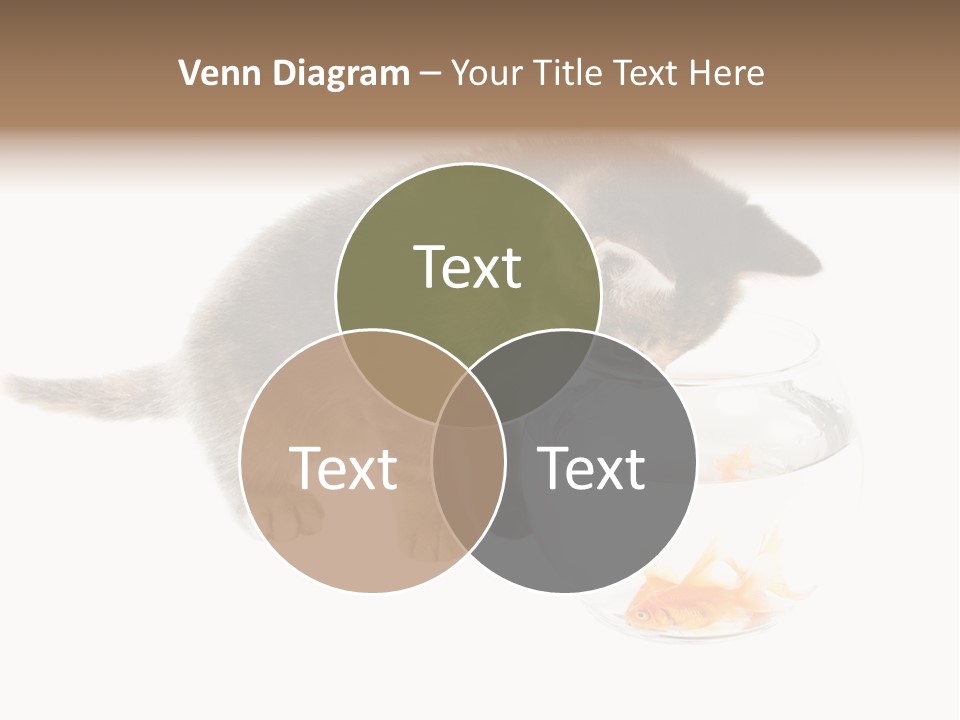 Portrait Beauty Game PowerPoint Template