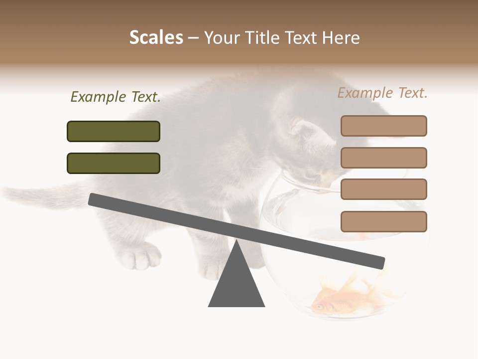 Portrait Beauty Game PowerPoint Template