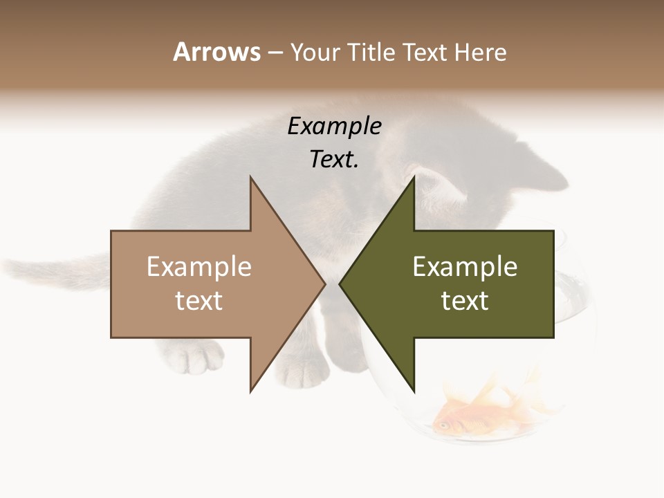 Portrait Beauty Game PowerPoint Template