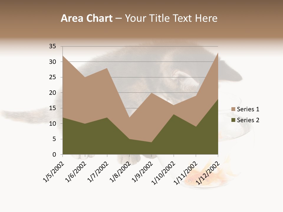 Portrait Beauty Game PowerPoint Template