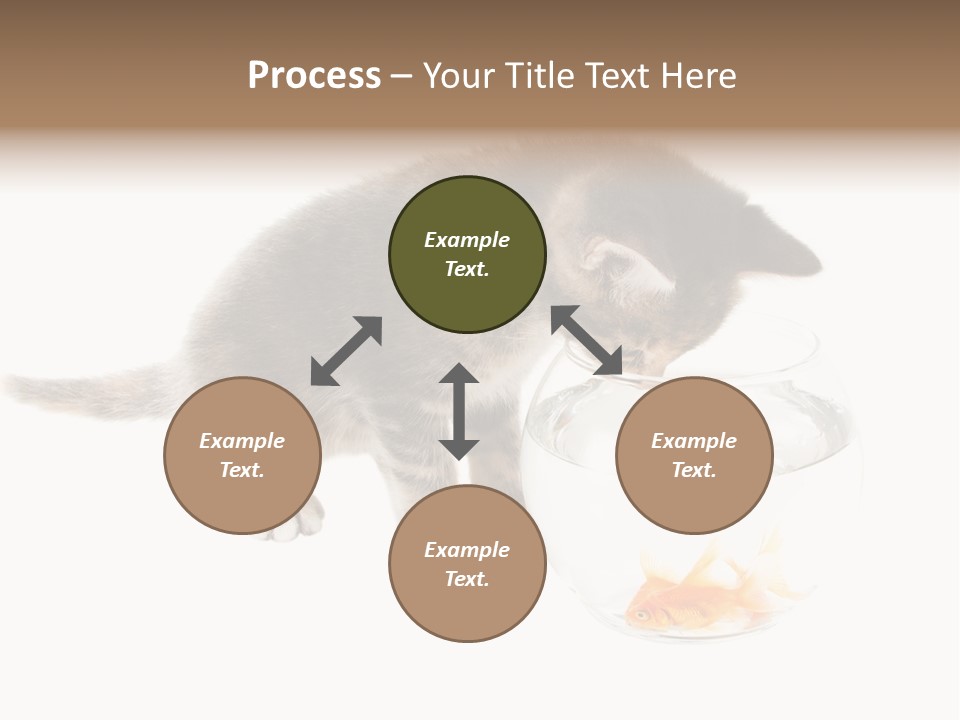 Portrait Beauty Game PowerPoint Template