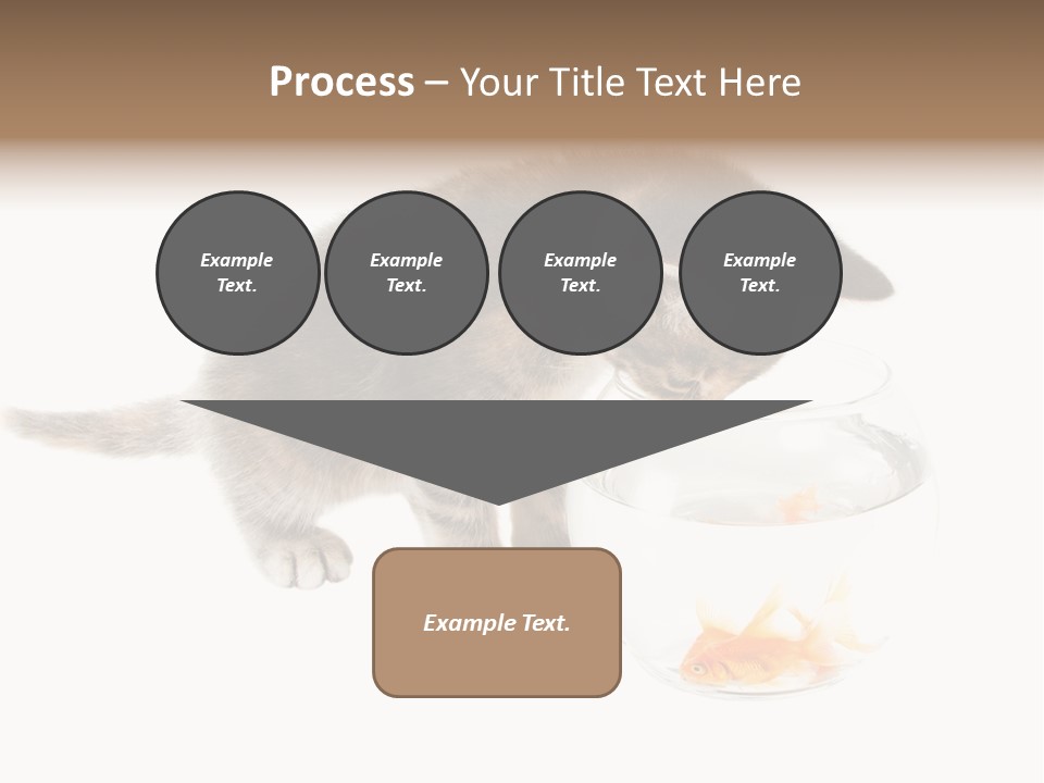 Portrait Beauty Game PowerPoint Template