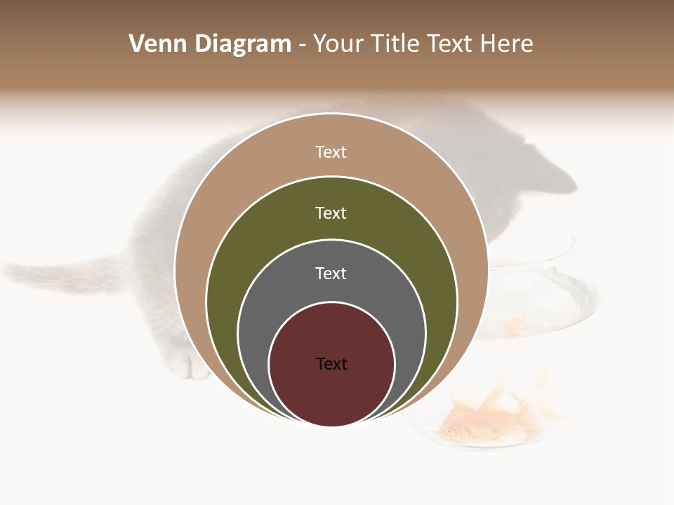 Portrait Beauty Game PowerPoint Template