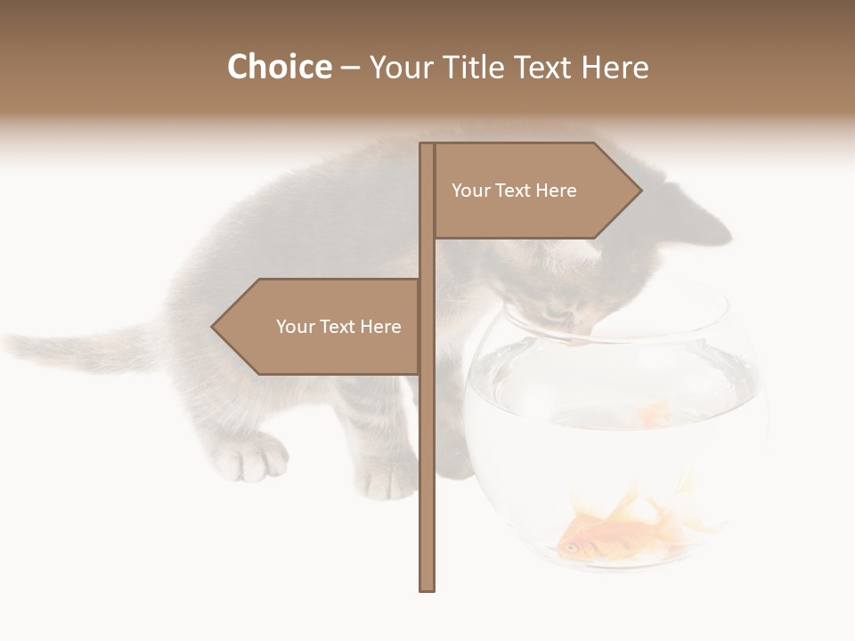 Portrait Beauty Game PowerPoint Template