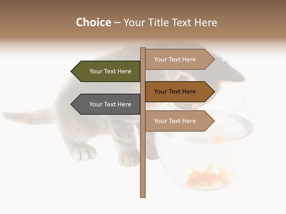 Portrait Beauty Game PowerPoint Template