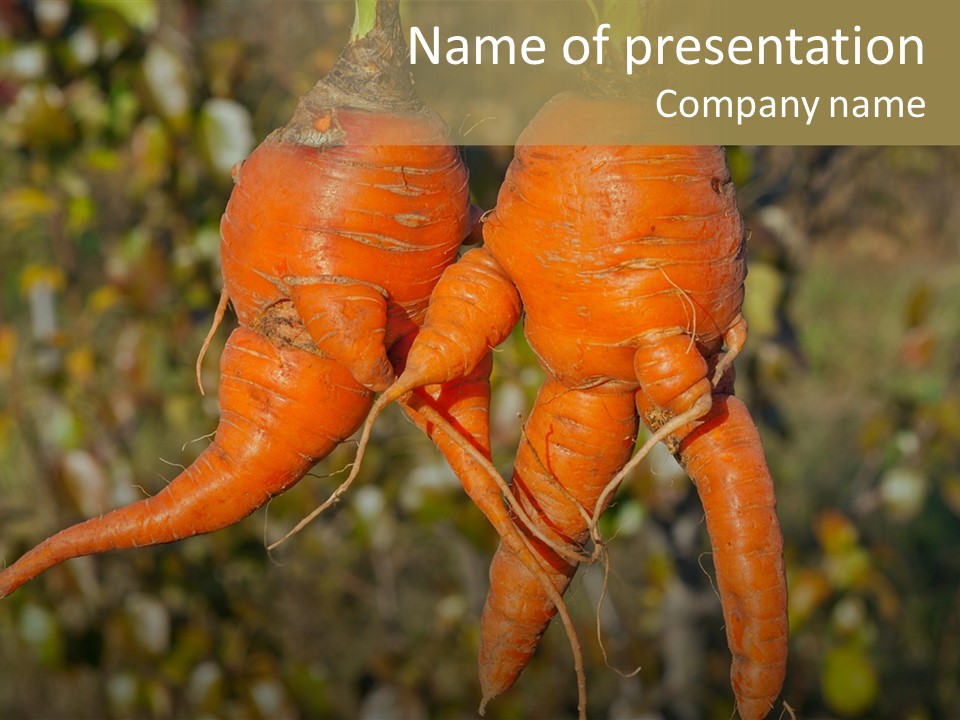 Crop Edible Macro PowerPoint Template