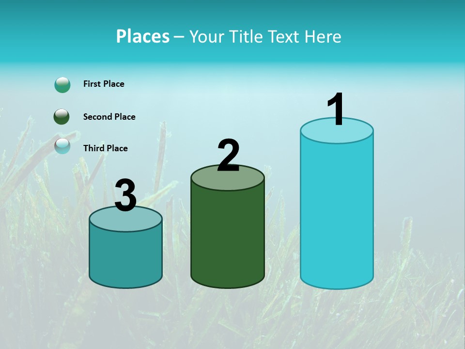 Water Nature Seascape PowerPoint Template