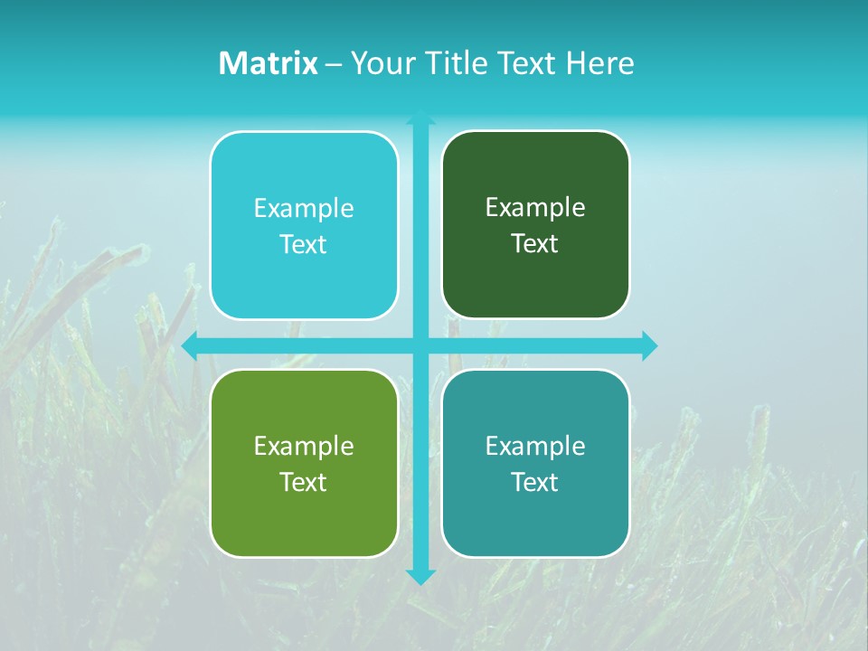 Water Nature Seascape PowerPoint Template