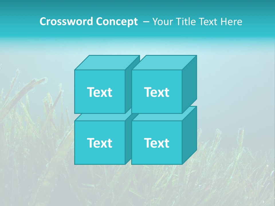 Water Nature Seascape PowerPoint Template