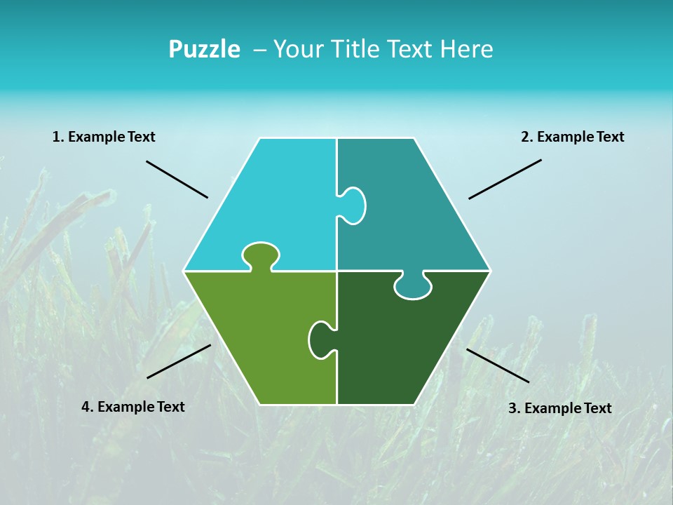 Water Nature Seascape PowerPoint Template