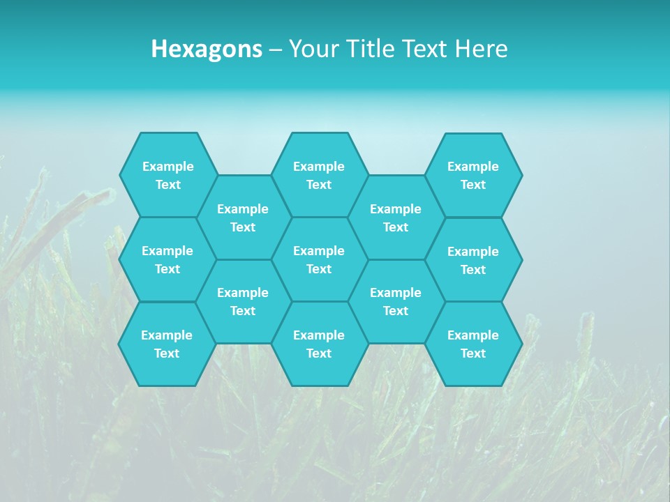 Water Nature Seascape PowerPoint Template