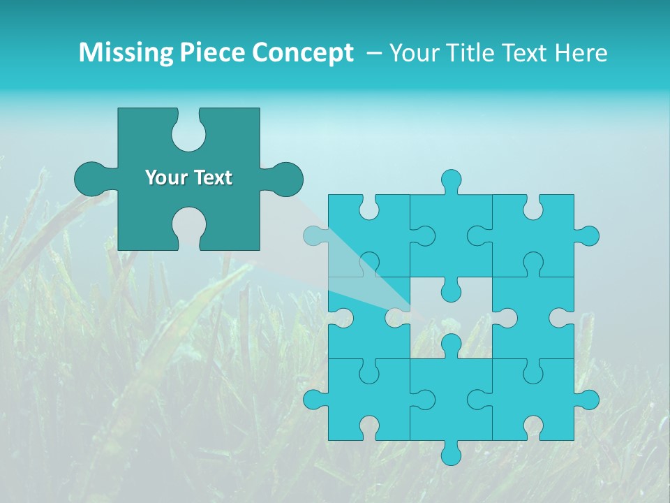 Water Nature Seascape PowerPoint Template