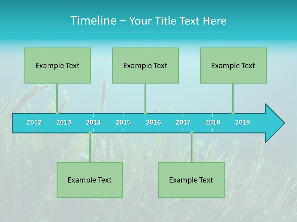 Water Nature Seascape PowerPoint Template