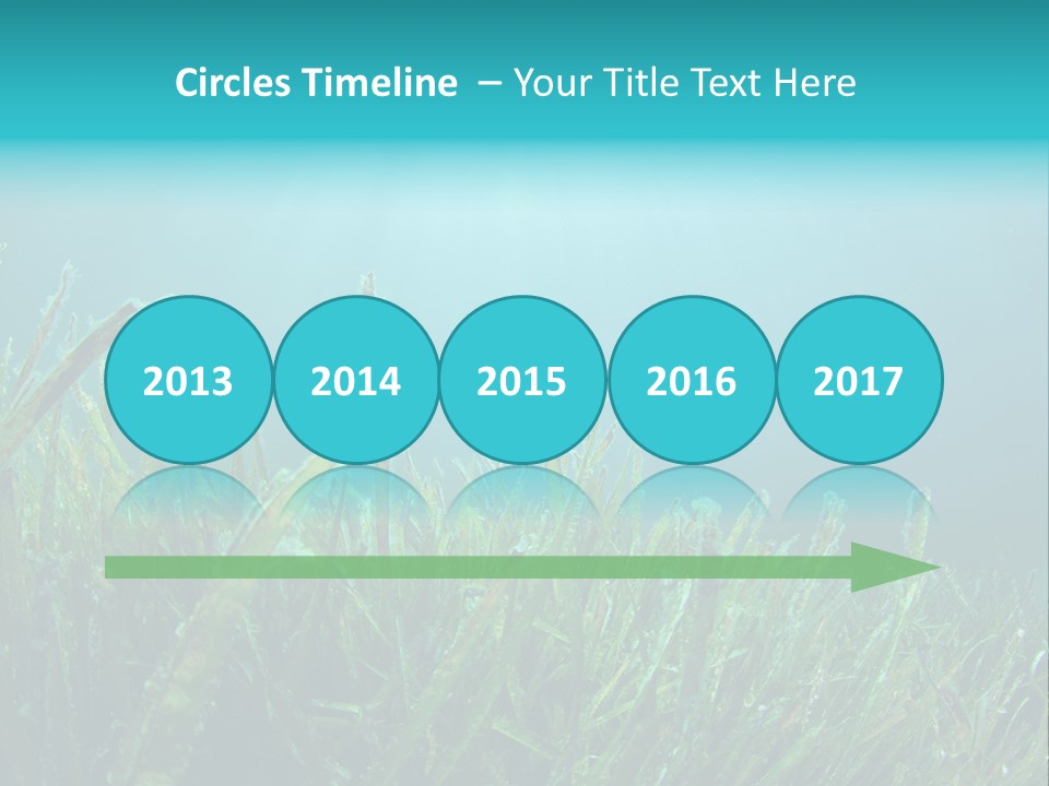 Water Nature Seascape PowerPoint Template