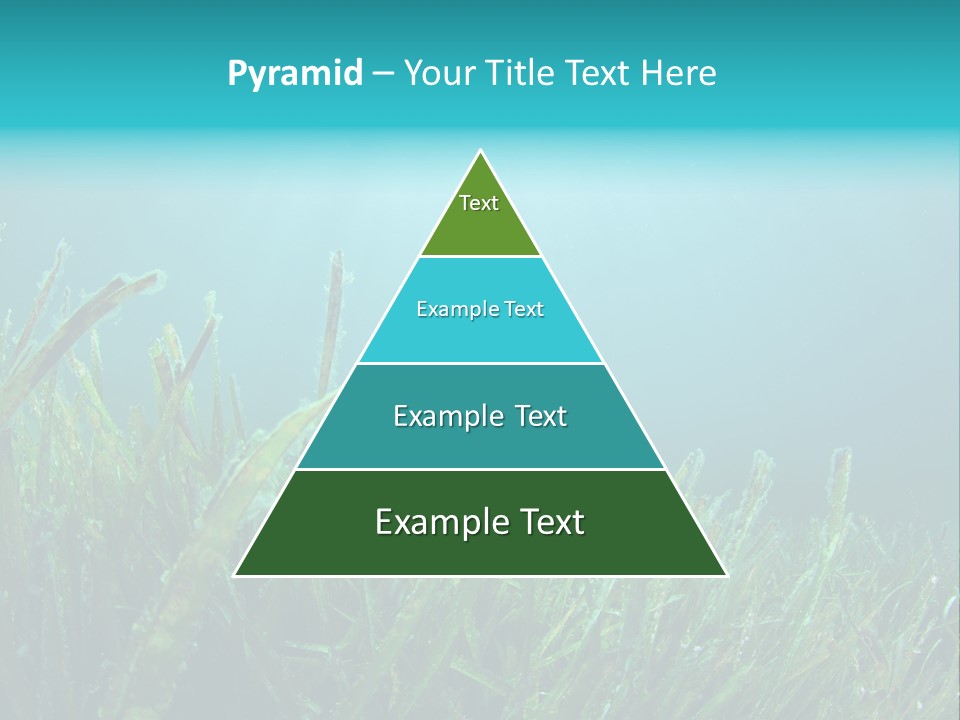 Water Nature Seascape PowerPoint Template