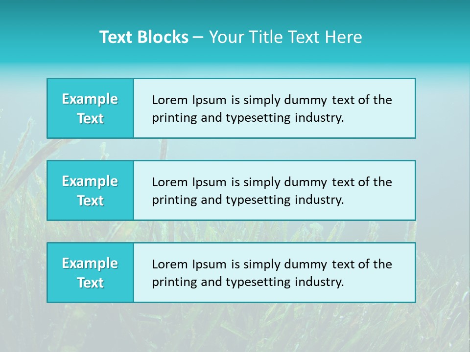 Water Nature Seascape PowerPoint Template