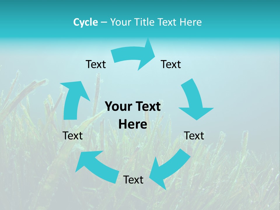 Water Nature Seascape PowerPoint Template