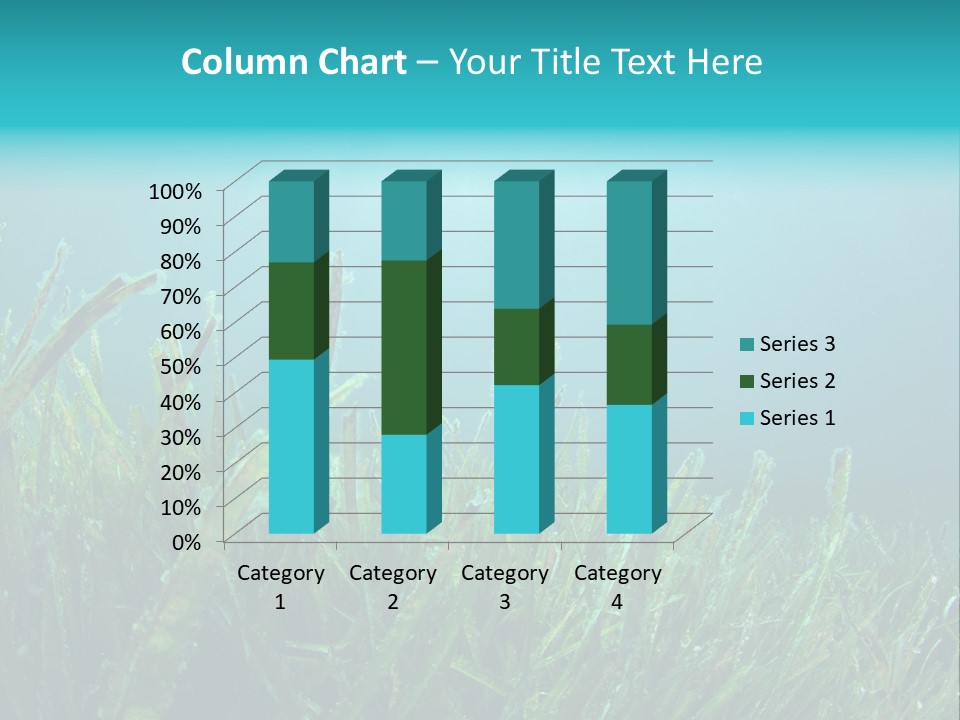 Water Nature Seascape PowerPoint Template