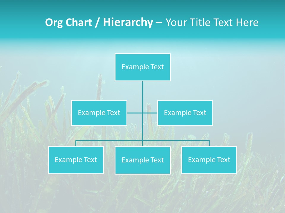 Water Nature Seascape PowerPoint Template