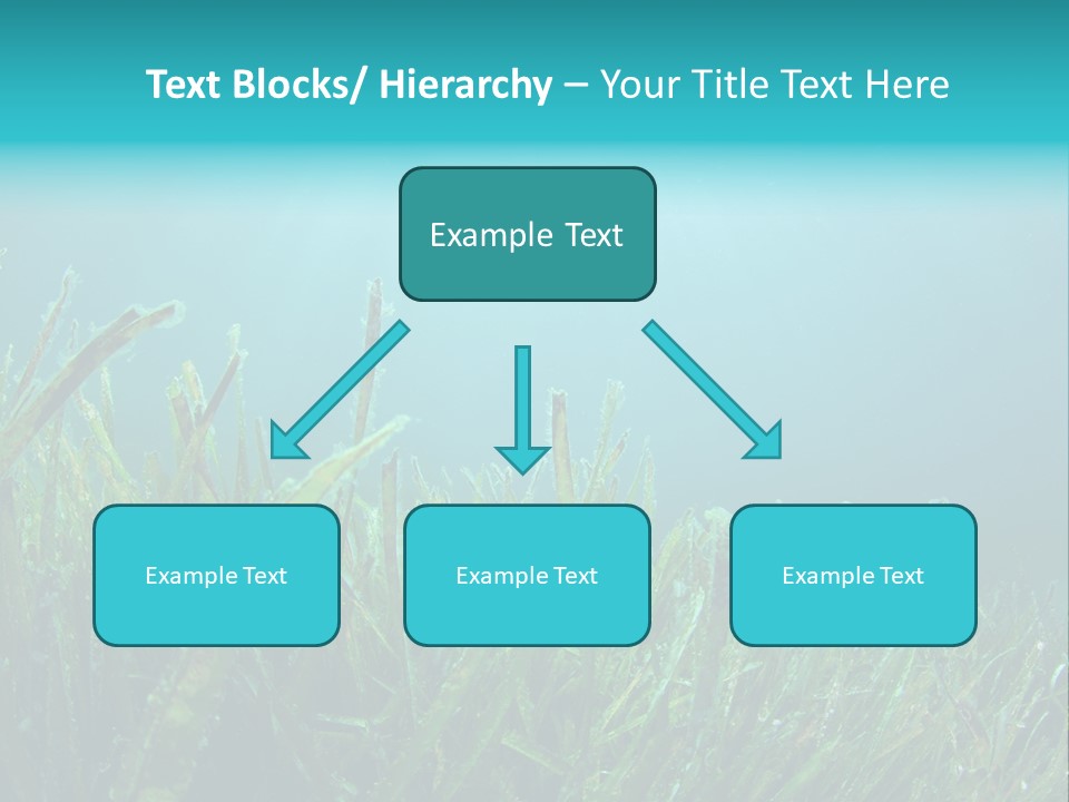 Water Nature Seascape PowerPoint Template