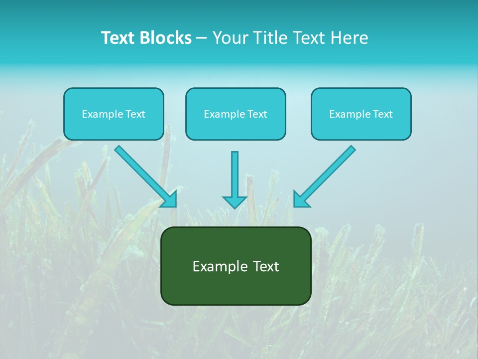 Water Nature Seascape PowerPoint Template