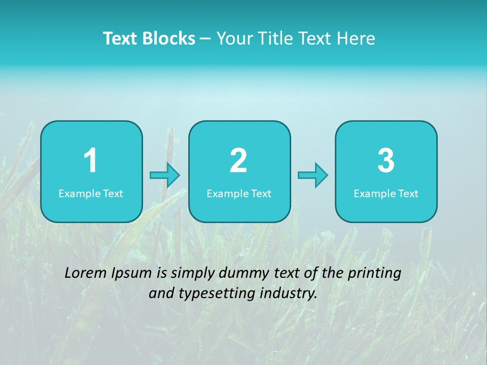 Water Nature Seascape PowerPoint Template
