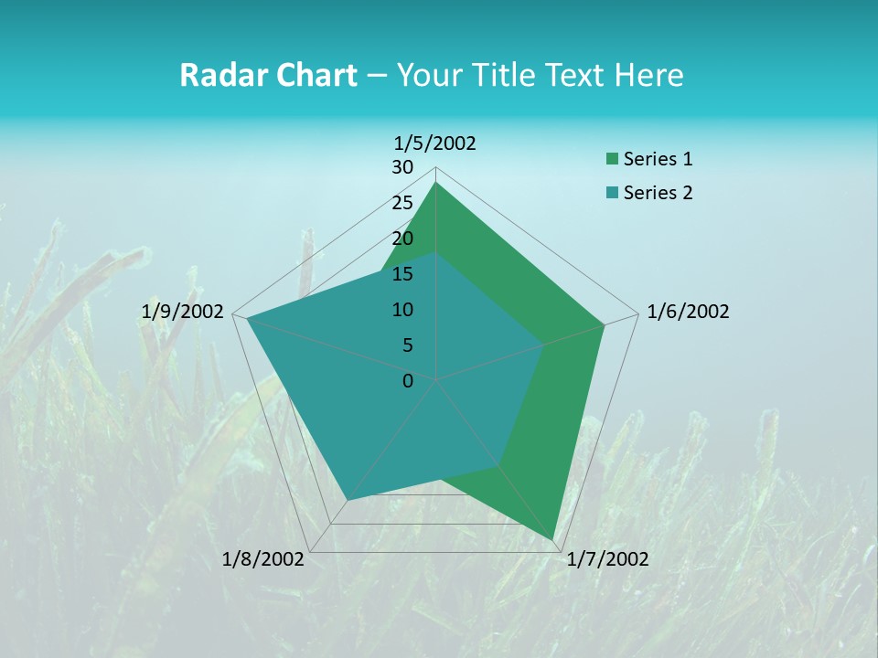 Water Nature Seascape PowerPoint Template