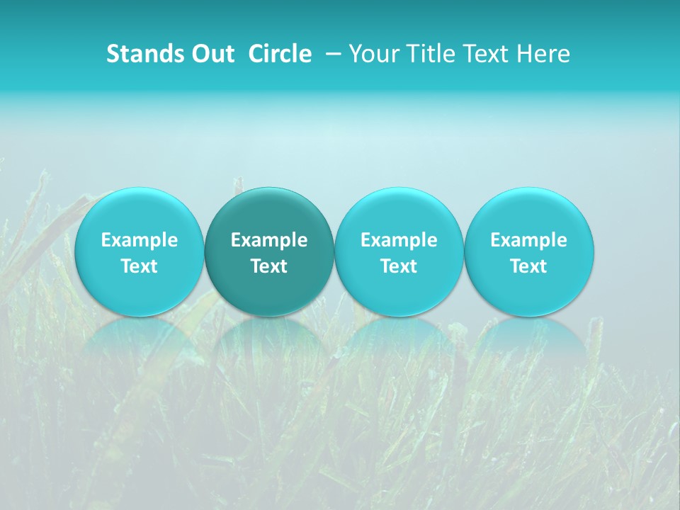 Water Nature Seascape PowerPoint Template