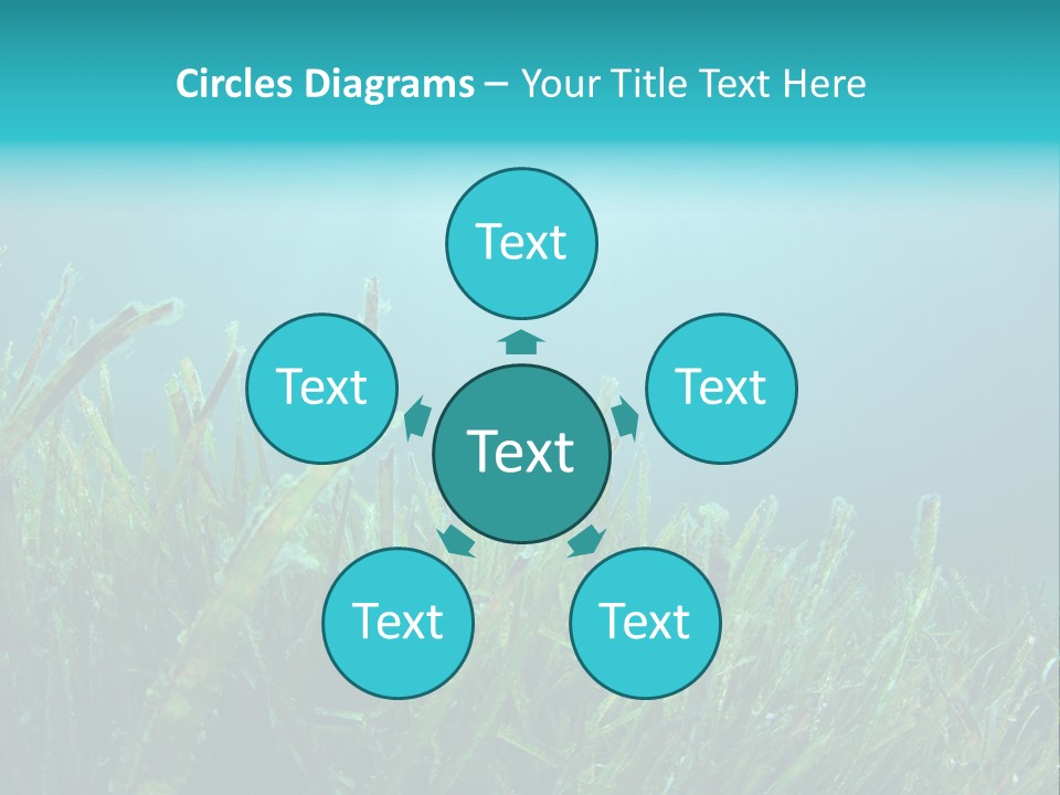 Water Nature Seascape PowerPoint Template