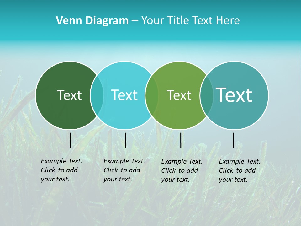 Water Nature Seascape PowerPoint Template