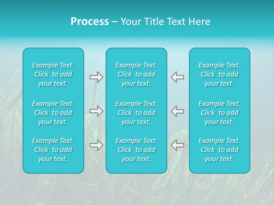 Water Nature Seascape PowerPoint Template