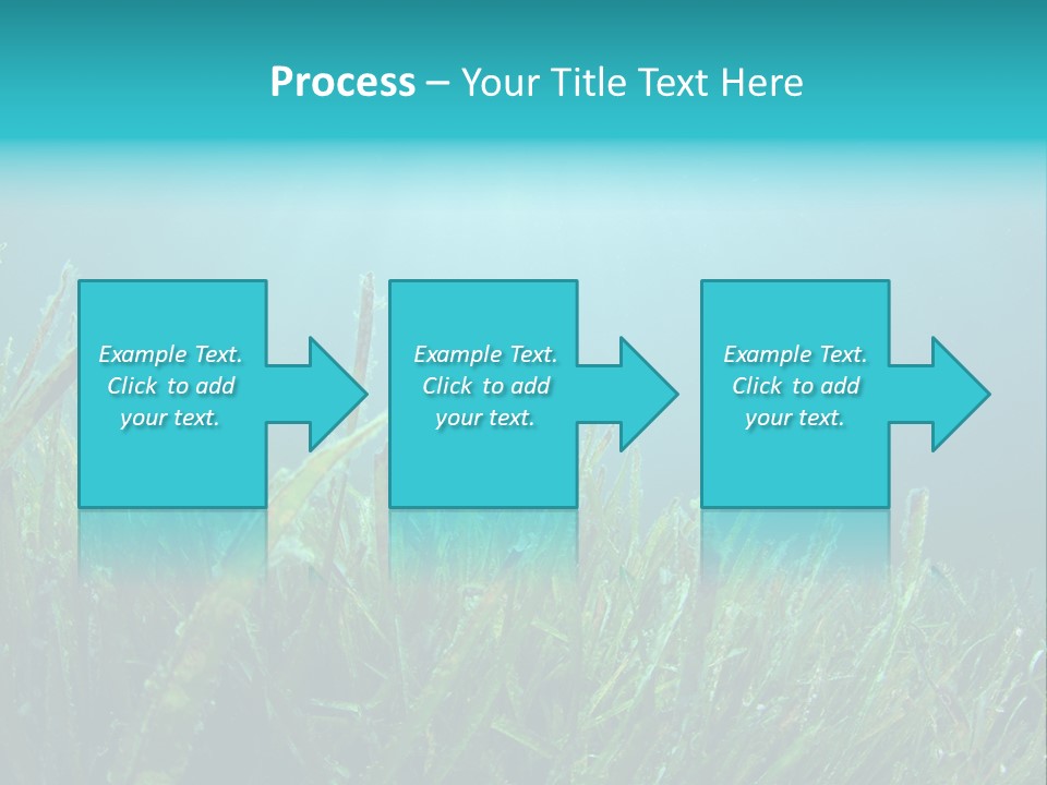 Water Nature Seascape PowerPoint Template